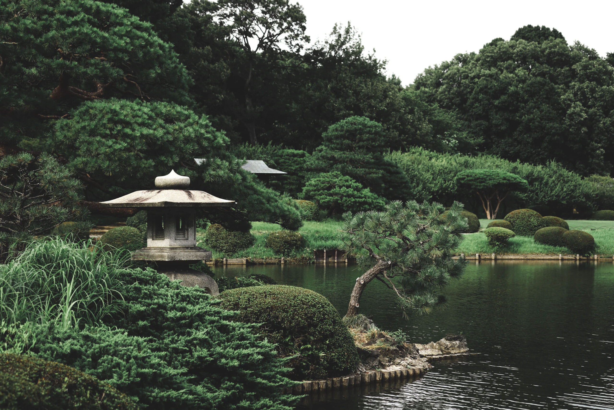 Zen Garden Trees