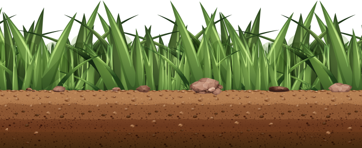 Grass Graphic